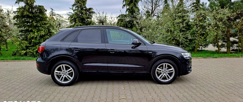 Audi Q3 cena 63900 przebieg: 207000, rok produkcji 2013 z Brodnica małe 254